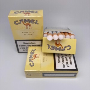 Главная 36 Camel KS квадрат